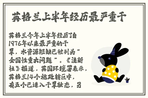 龙bt发布2013